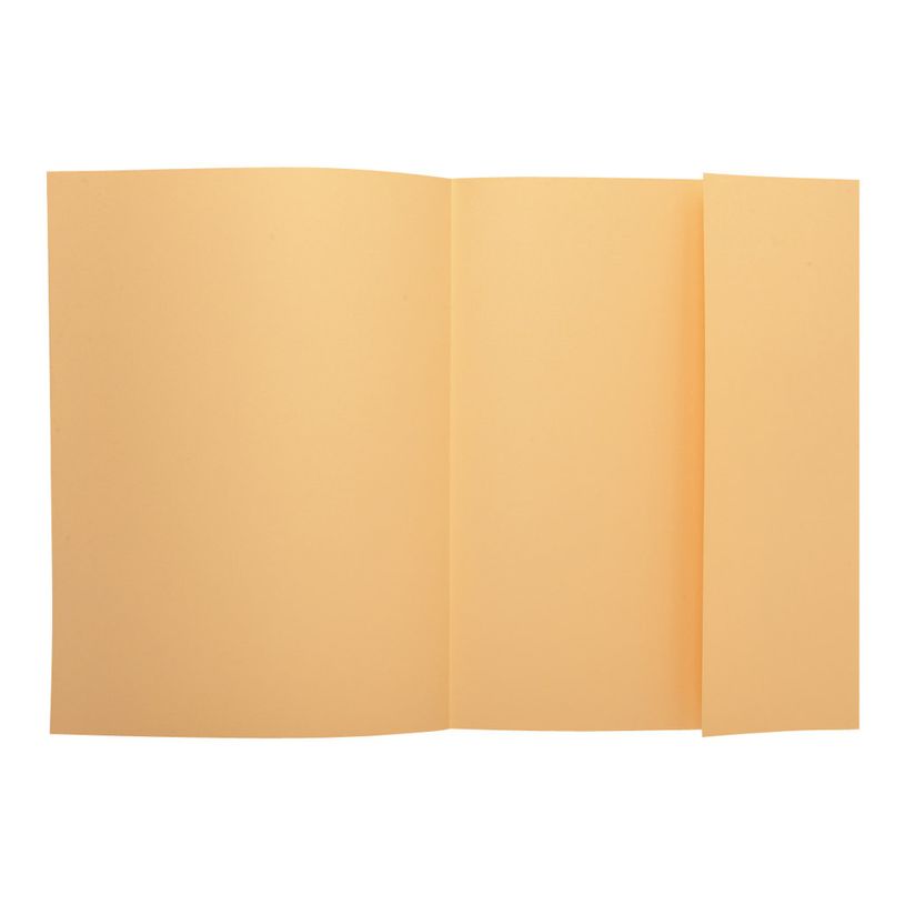 3130633390029-Exacompta Super 210 - 5 Paquets de 50 Chemises 1 rabat - 210 gr - bulle-P_400010896_3-1