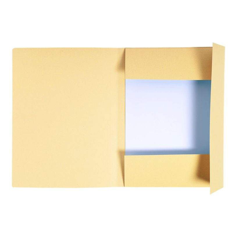 3130633448027-Exacompta Forever - 100 Chemises imprimées - 280 gr - bulle-P_400010970_2-1