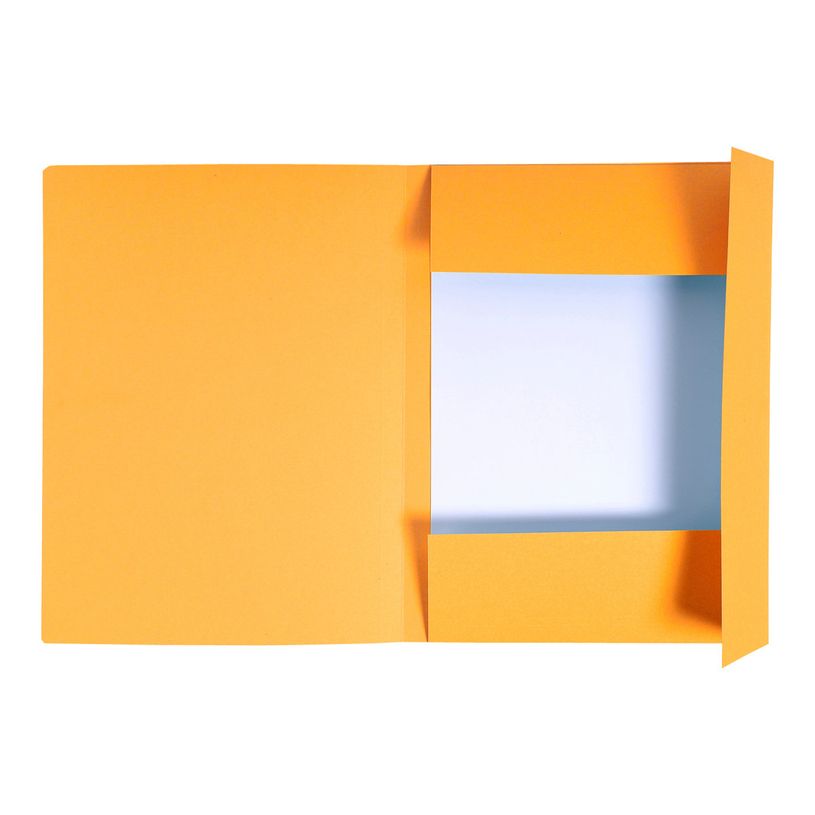 3130633448096-Exacompta Forever - 100 Chemises imprimées - 280 gr - orange-P_400010973_2-1