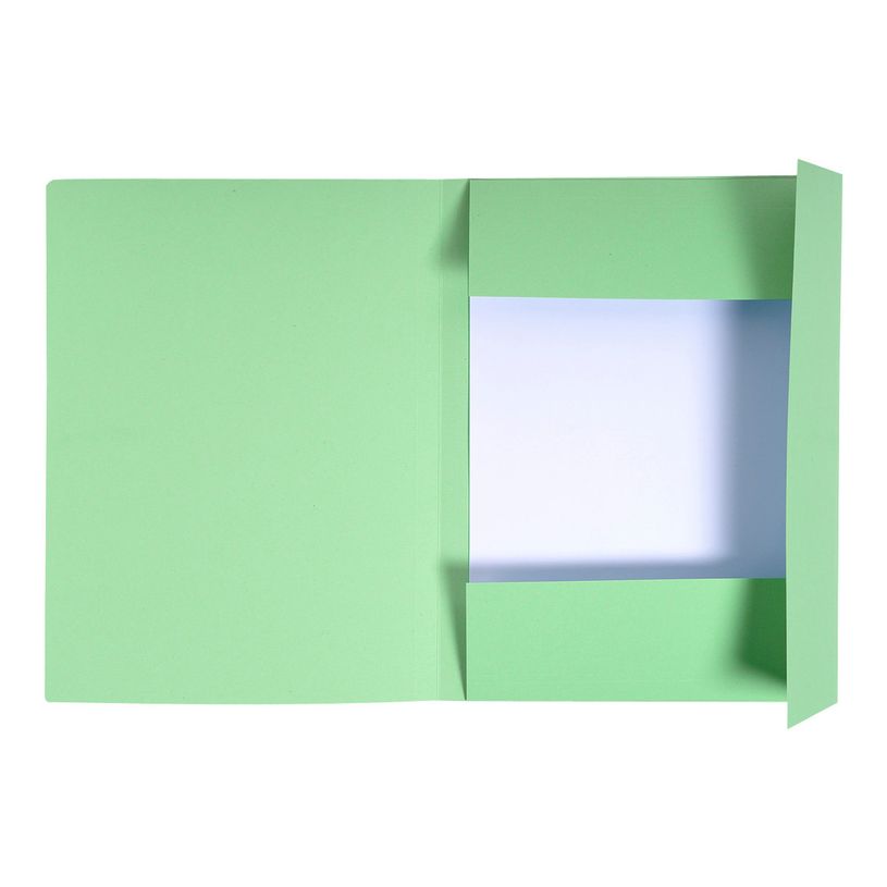 3130634448132-Exacompta Forever - 100 Chemises imprimées - 280 gr - vert pré-P_400010974_2-1