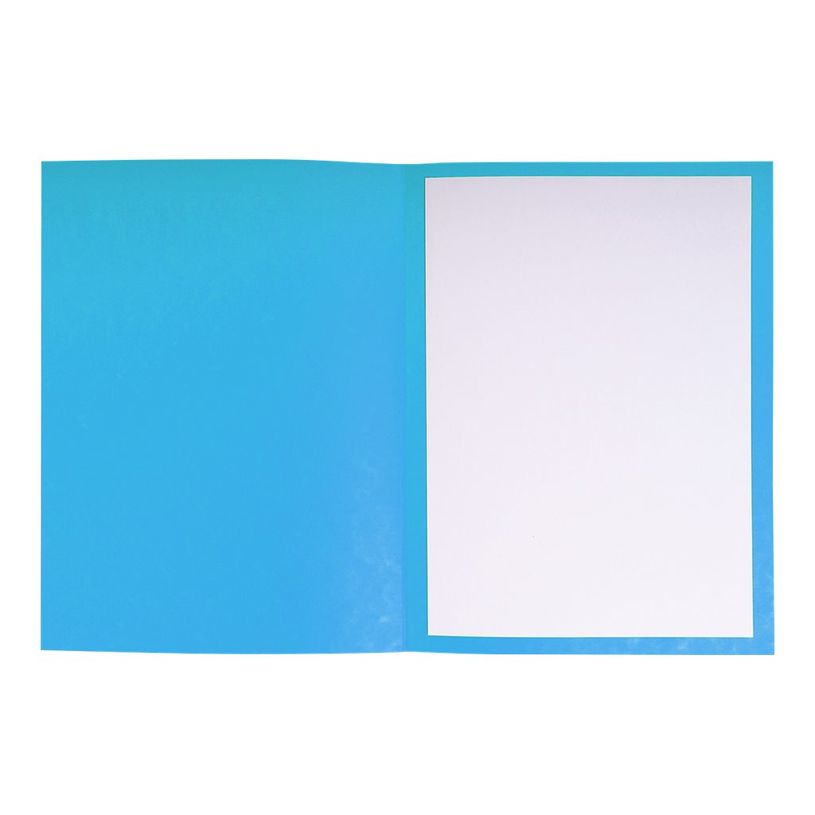 3130632201029-Exacompta Super 210 - 5 Paquets de 25 Chemises de plaidoirie "pour/contre" - turquoise-P_400011000_2-1