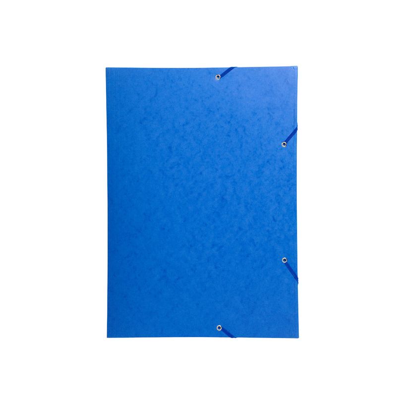 3130636595001-Exacompta - 10 Chemises à 3 rabats - A3 - couleurs assorties-P_400011148_2-1