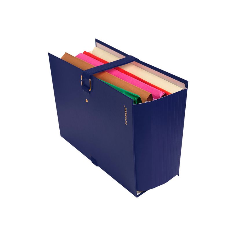 3130632220037-Exacompta Extensor - 10 Chemises extensibles 1 rabat à sangle - bleu-P_400011192_4-3