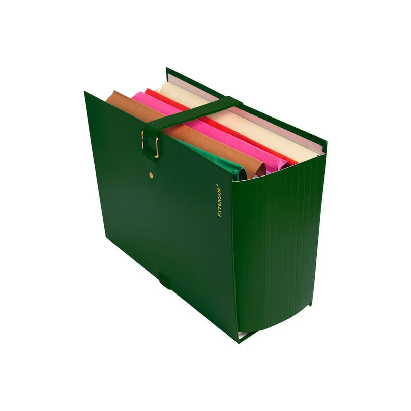 3130632220075-Exacompta Extensor - 10 Chemises extensibles 1 rabat à sangle - vert-P_400011193_4-3