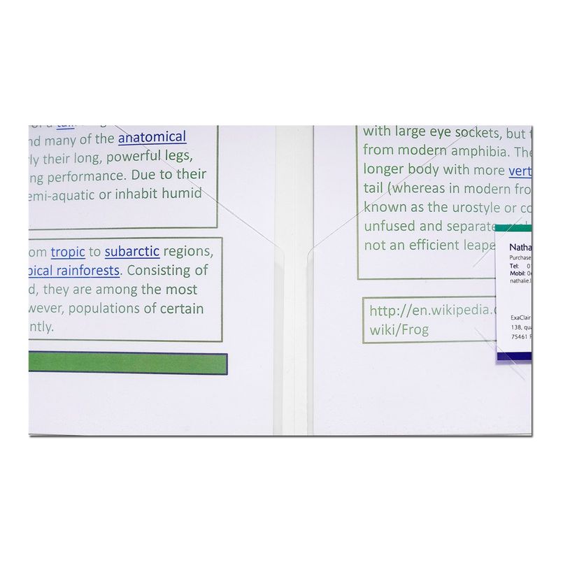 3157401031861-Exacompta - 20 Chemises double poche polypro - A4/A3 - cristal-P_400011226_5-3