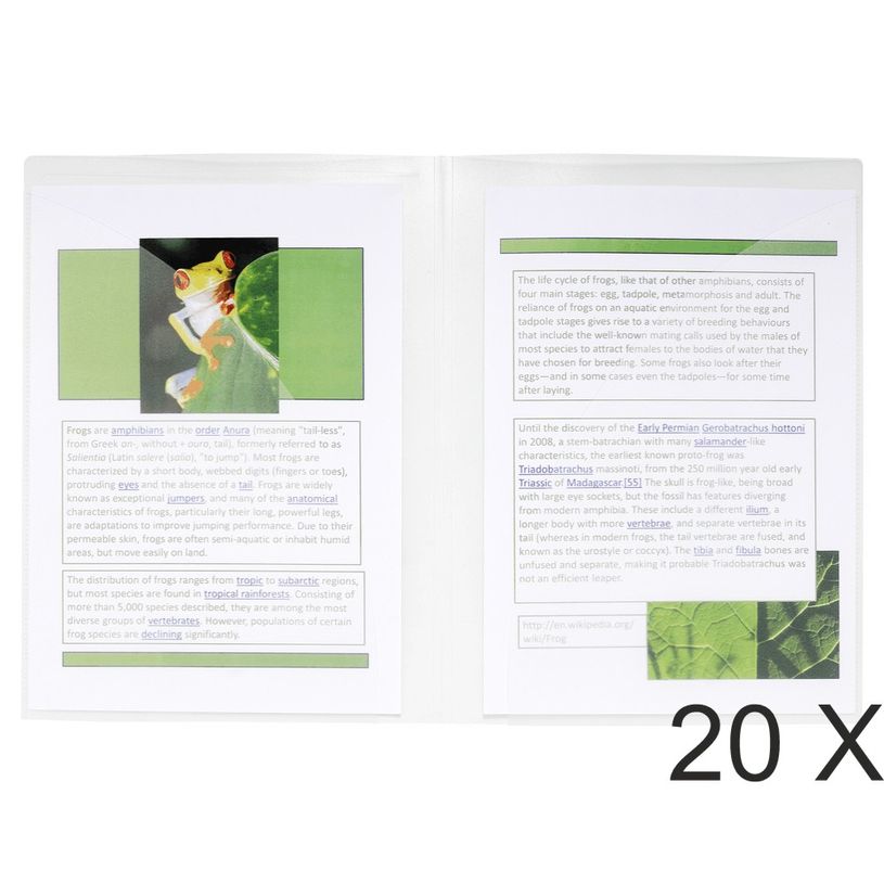 3130632039677-Exacompta - 20 Chemises double poche polypro semi rigide - A4/A3 - cristal-P_400011228_1-0