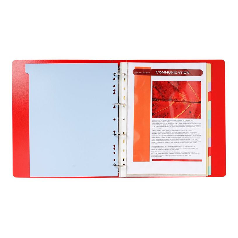 3130632048129-Exacompta - Pack de 15 intercalaires 12 positions - A4 Maxi - couleurs assorties - semi ri-P_400011558_3-1