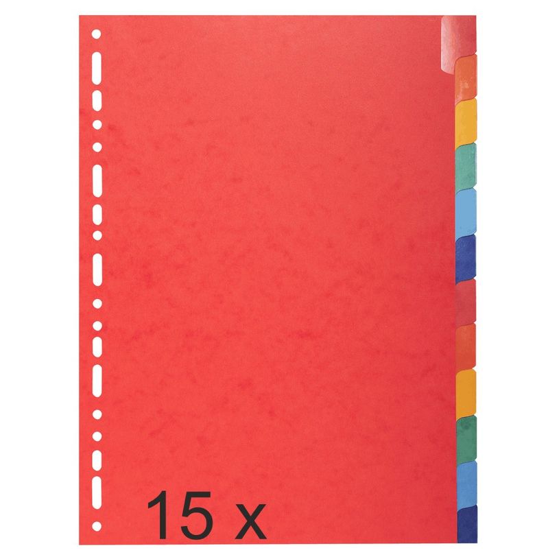 3130632022129-Exacompta - Pack de 15 intercalaires 12 positions - A4 - couleurs assorties - onglets renf-P_400011599_2-0