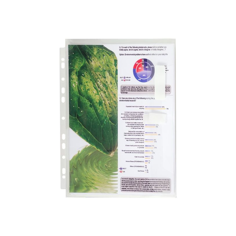 3130630055051-Exacompta - 10 Pochettes perforées à soufflet avec rabat latéral - A4 - 20/100-P_400011665_1-0