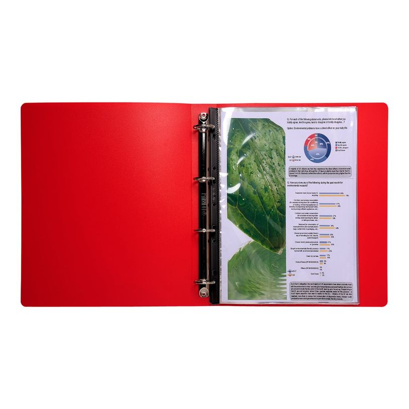 3130632880408-Exacompta Jowarel - 20 Faisceaux standard perforés - 20 vues - A4 - cristal-P_400011837_2-1