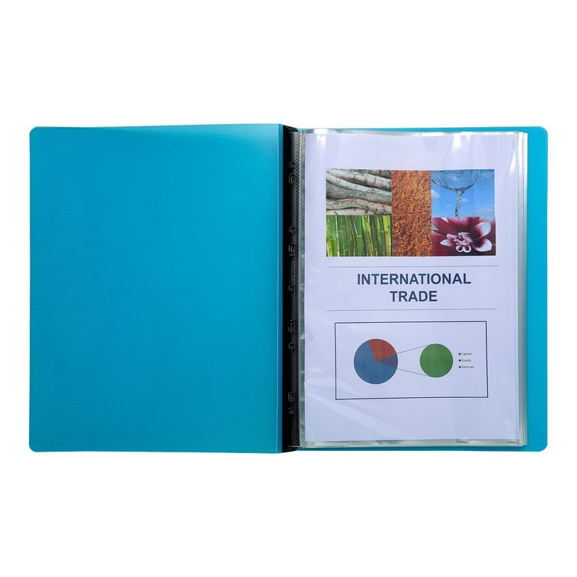 3130632880408-Exacompta Jowarel - 20 Faisceaux standard perforés - 20 vues - A4 - cristal-P_400011837_3-2