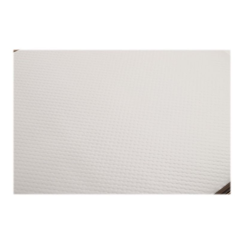 3281513540512-Pronappe - Set de table - Taille 30 x 40 cm - jetable - blanc glacé (pack de 500)-P_400014460_2-1