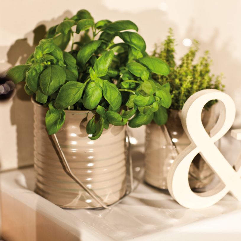 4004764967216-Edding - Peinture acrylique en Aérosol e-5200 Blanc crème Mat - Spray 200 ml--4