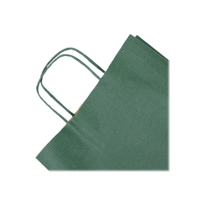 3329683957102-Clairefontaine - 25 Sacs cadeau kraft - 22 cm x 10 cm x 27 cm - vert-P_405110188_2-1