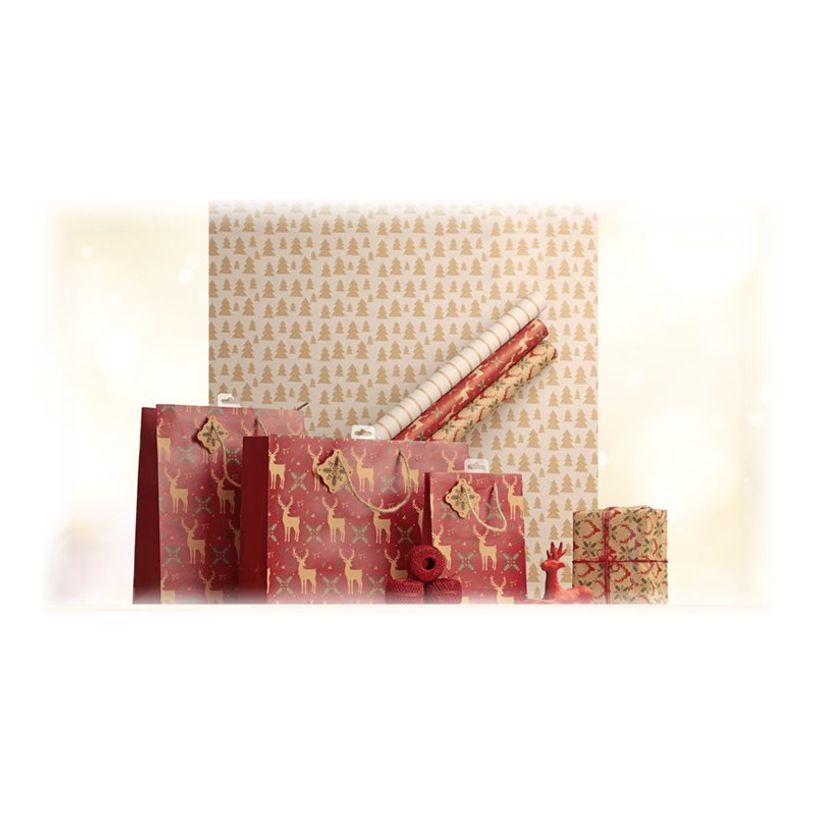3329682238776-Clairefontaine Lovely Home - Papier cadeau kraft - 70 cm x 5 m - 70 g/m² -  différents m-P_405110209_4-3