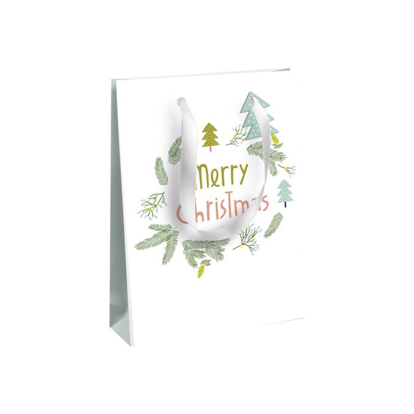 5033601497943-Clairefontaine Neige - Sac cadeau medium - 21,5 cm x 10,2 cm x 25,3 cm-P_405110234_1-0