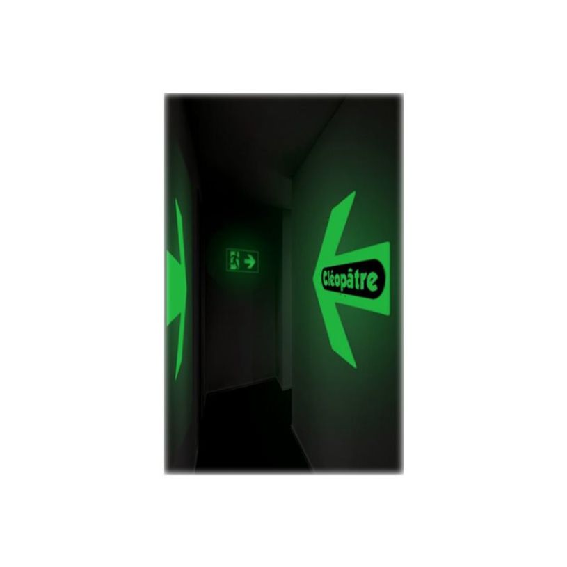 3134725010918-Cléopâtre Princess Mérit - peinture - peinture acrylique - phosphorescent - 250 ml-P_405112802_2-2