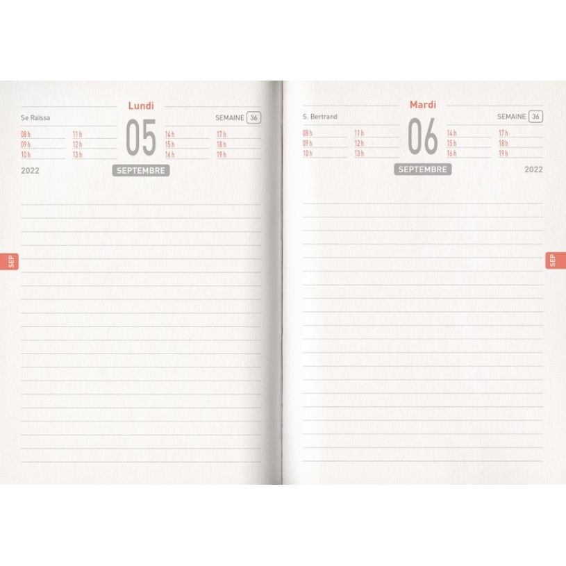 3592930019490-Agenda sport Basket - 1 jour par page - 12,5 x 17,5 cm - Bouchut-P_405114205_2-1