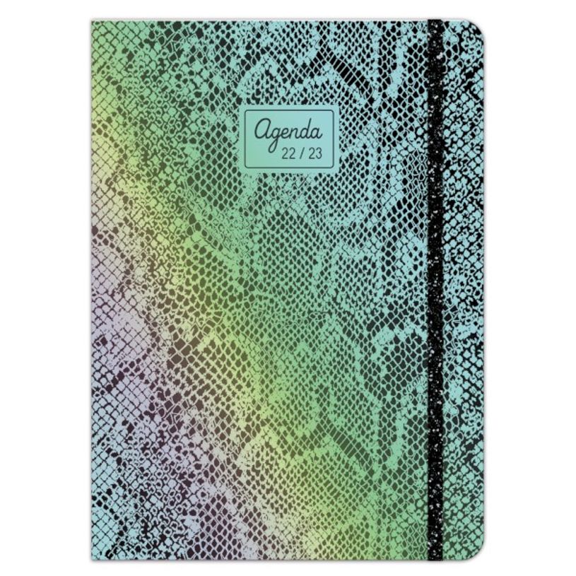 3592930019636-Agenda broché Python - 1 jour par page - 12,5 x 17,5 cm - Bouchut-P_405114206_1-0