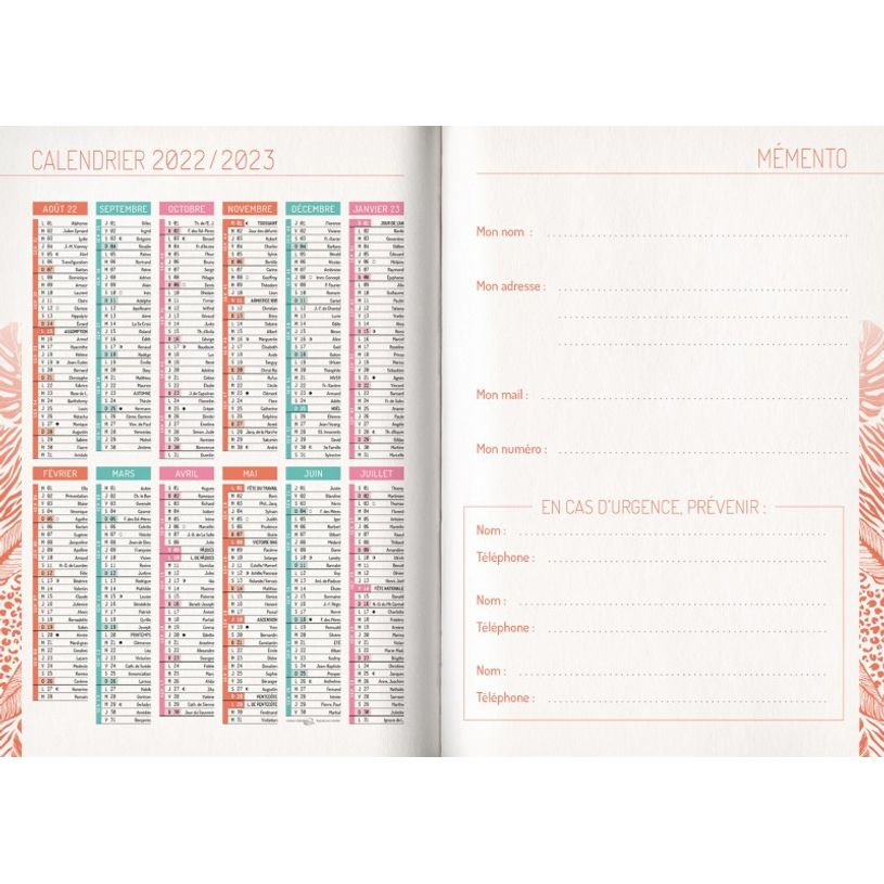 3592930019636-Agenda broché Python - 1 jour par page - 12,5 x 17,5 cm - Bouchut-P_405114206_3-2