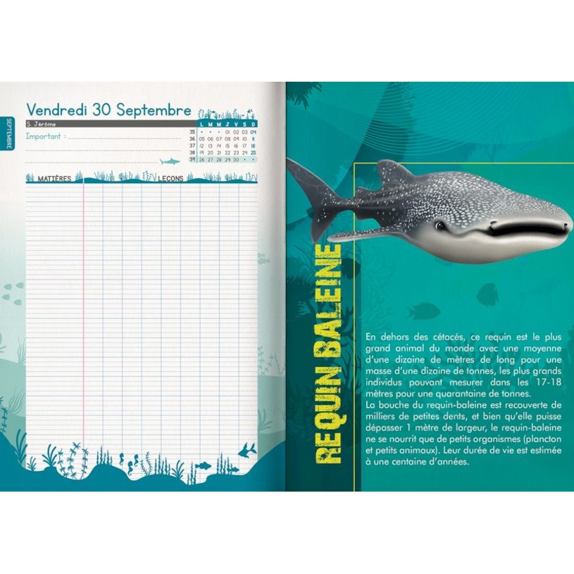 3592930019537-Agenda Shark bleu - 1 jour par page - 12,5 x 17,5 cm - Bouchut-P_405114210_12-7