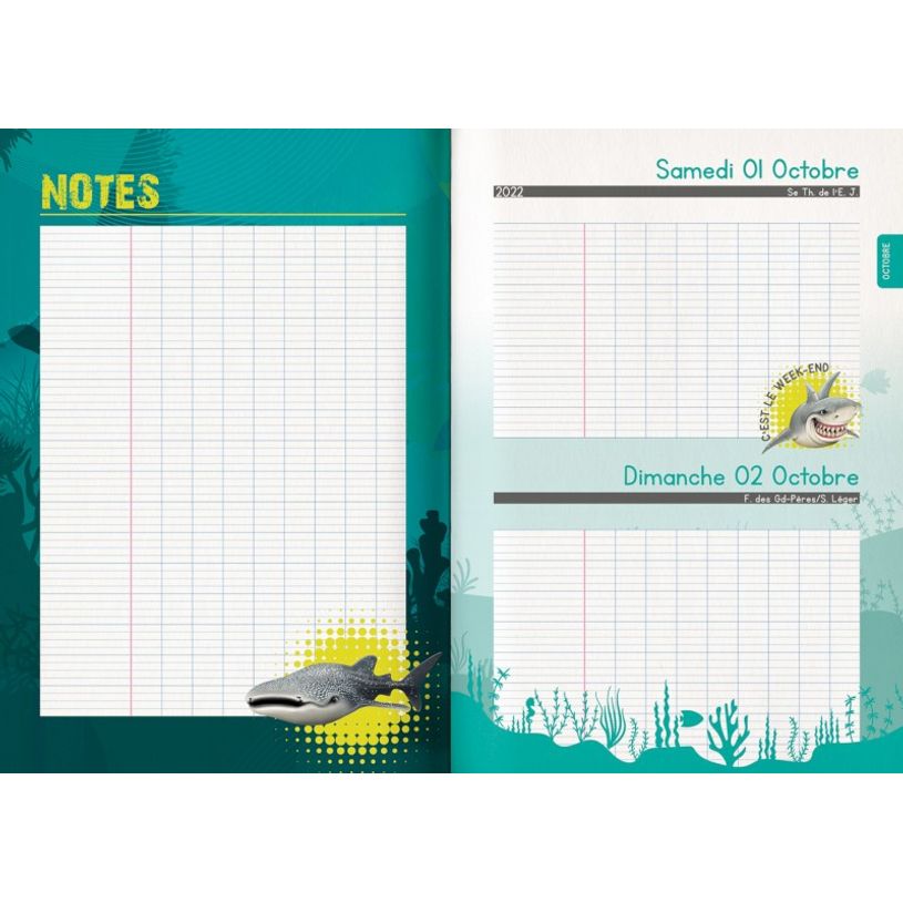 3592930019537-Agenda Shark bleu - 1 jour par page - 12,5 x 17,5 cm - Bouchut-P_405114210_13-8