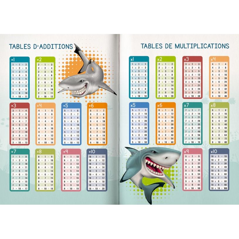 3592930019537-Agenda Shark bleu - 1 jour par page - 12,5 x 17,5 cm - Bouchut-P_405114210_15-10