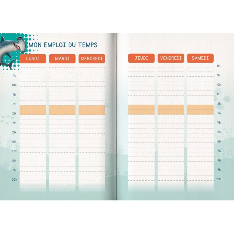 3592930019544-Agenda Shark gris - 1 jour par page - 12,5 x 17,5 cm - Bouchut-P_405114211_4-3