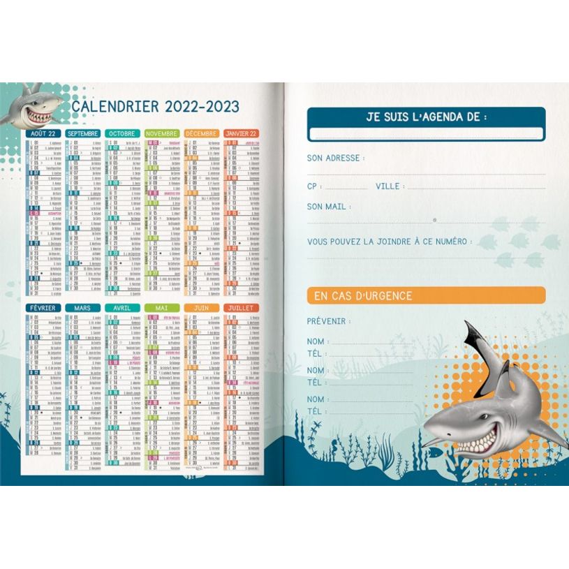 3592930019551-Agenda Shark vert - 1 jour par page - 12,5 x 17,5 cm - Bouchut-P_405114212_3-2
