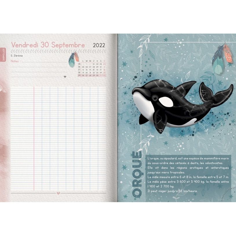 3592930019582-Agenda Snow friends Baleine - 1 jour par page - 12,5 x 17,5 cm - Bouchut-P_405114215_10-9
