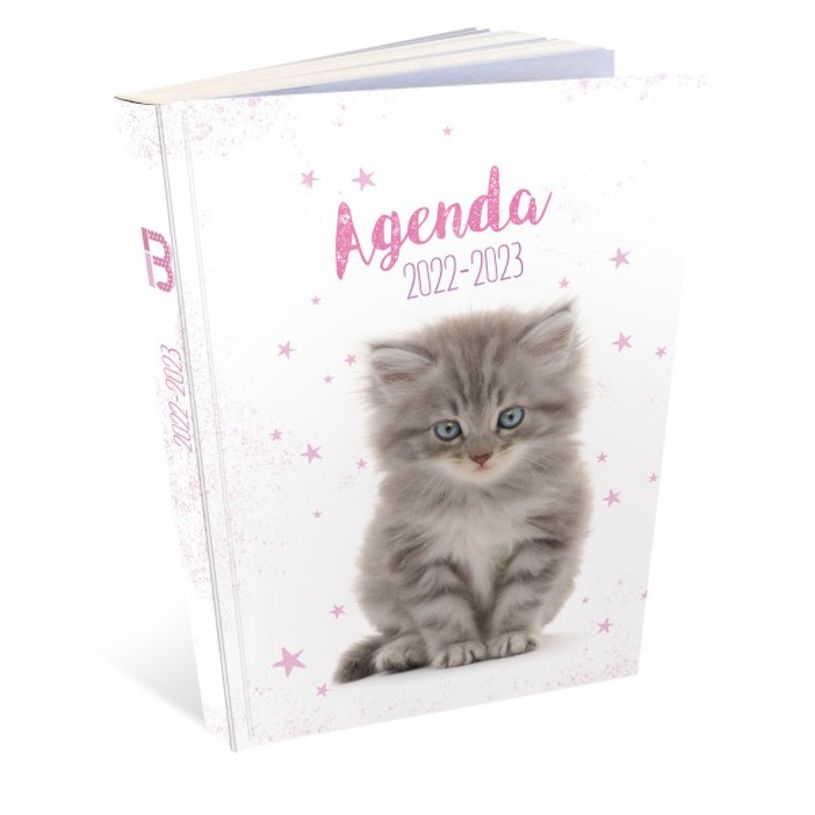 3592930019322-Agenda broché Chaton - 1 jour par page - 12 x 17 cm - Bouchut-P_405114222_1-0