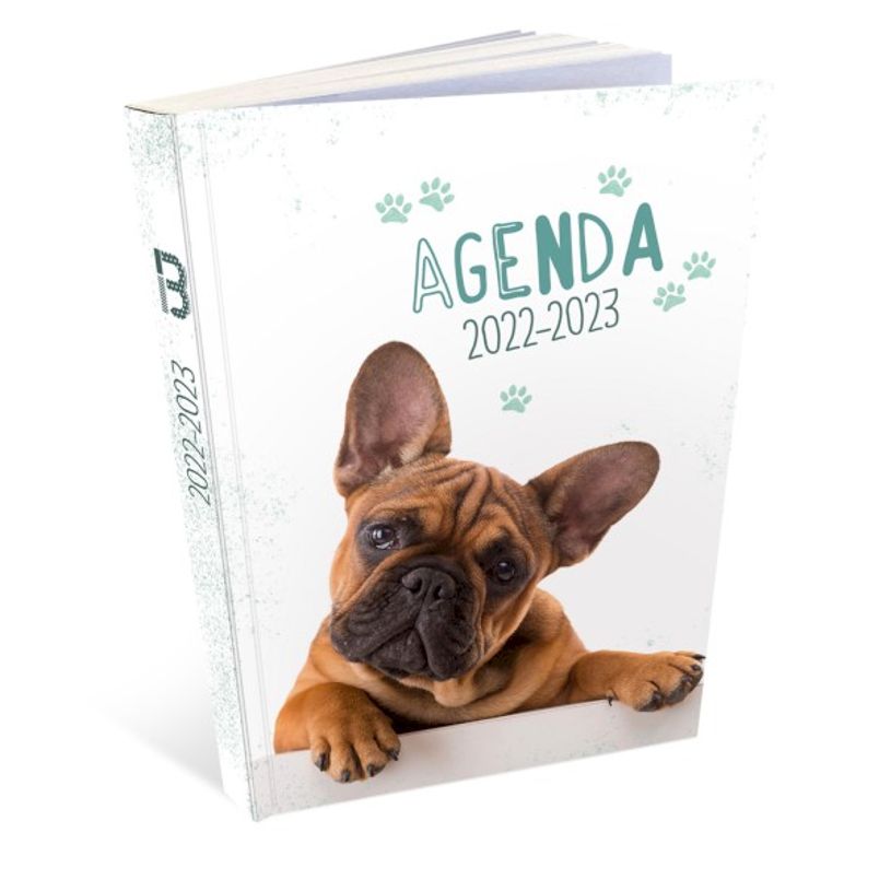 3592930019339-Agenda broché Chien - 1 jour par page - 12 x 17 cm - Bouchut-P_405114223_1-0