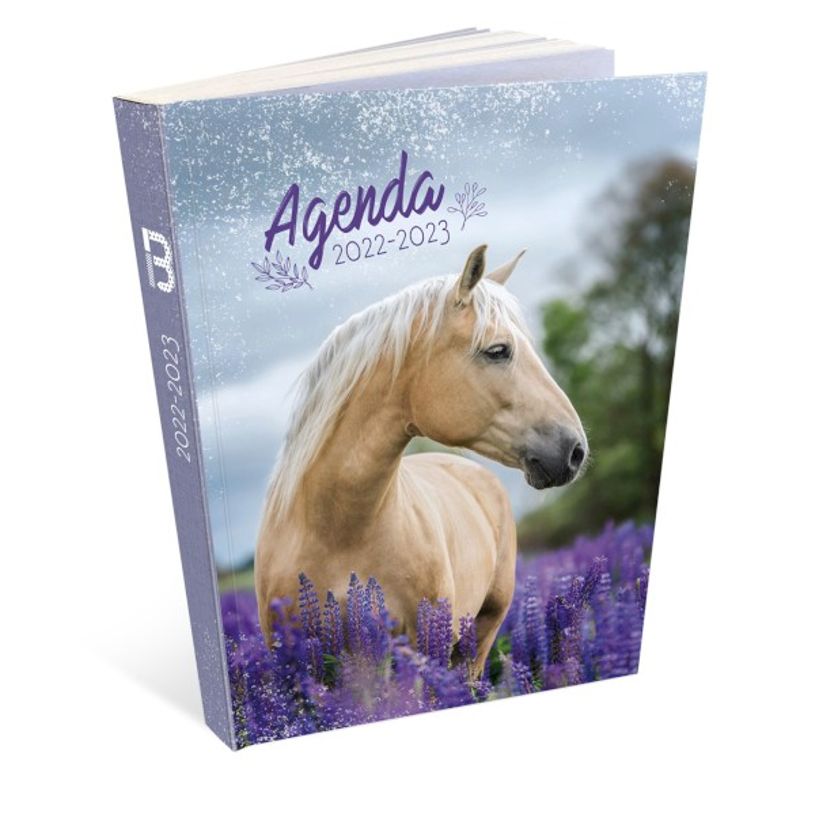 3592930019346-Agenda broché Cheval - 1 jour par page - 12 x 17 cm - Bouchut-P_405114224_1-0