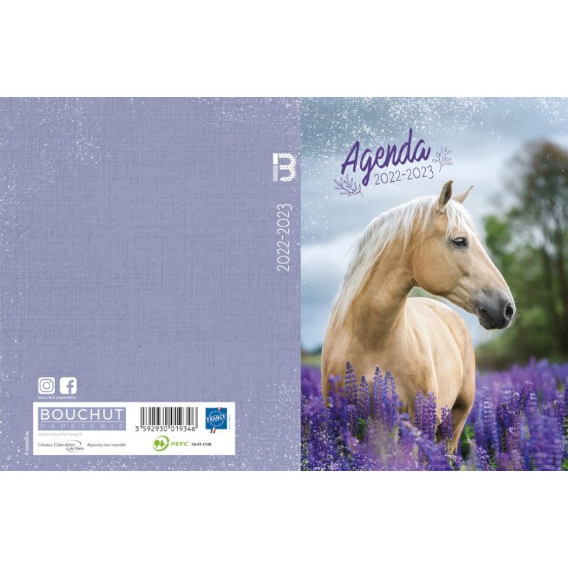 3592930019346-Agenda broché Cheval - 1 jour par page - 12 x 17 cm - Bouchut-P_405114224_3-2
