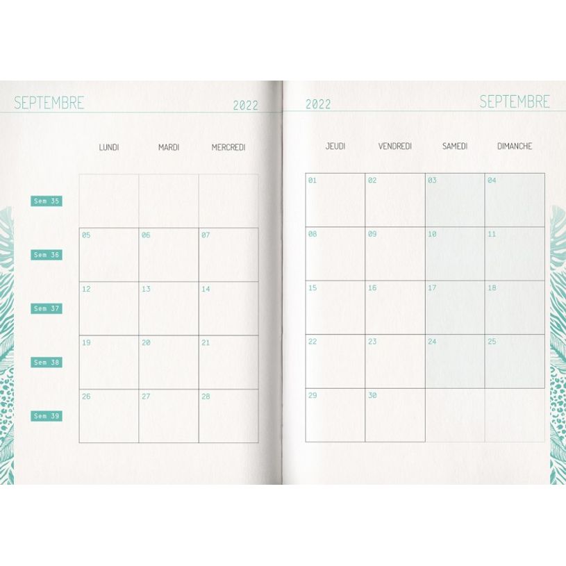 3592930019643-Agenda broché Zèbre - 1 jour par page - 12 x 17 cm - Bouchut-P_405114228_7-6