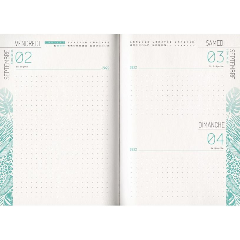 3592930019643-Agenda broché Zèbre - 1 jour par page - 12 x 17 cm - Bouchut-P_405114228_8-7