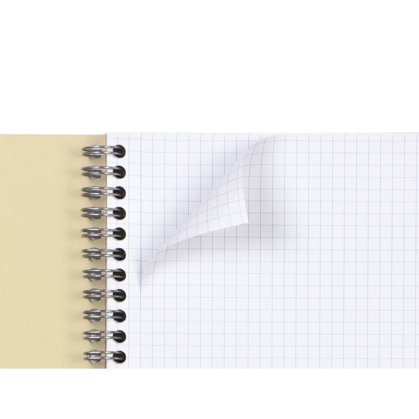 3210330684024-Clairefontaine Forever - Cahier à spirale A4 (21x29,7 cm) - 120 pages - petits carreaux -P_405114367_11-8