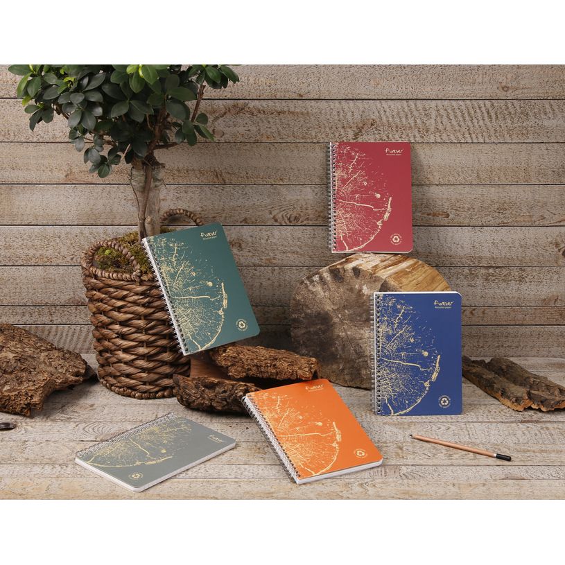 3210330684024-Clairefontaine Forever - Cahier à spirale A4 (21x29,7 cm) - 120 pages - petits carreaux -P_405114367_12-9