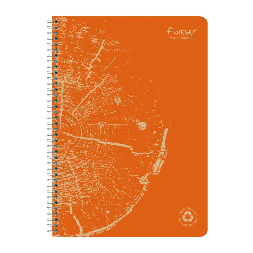 3210330684024-Clairefontaine Forever - Cahier à spirale A4 (21x29,7 cm) - 120 pages - petits carreaux (-P_405114367_6-3