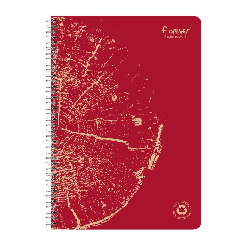 3210330684024-Clairefontaine Forever - Cahier à spirale A4 (21x29,7 cm) - 120 pages - petits carreaux (-P_405114367_7-4