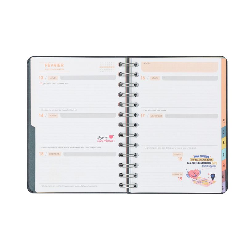 8445641000859-Agenda à spirale Mr Wonderful - 1 semaine sur 2 pages - 12 x 17 cm - Oberthur-P_405114664_17-1