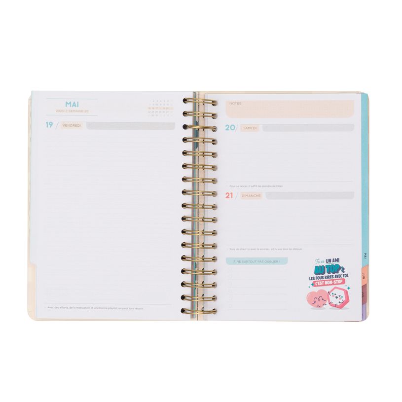 8445641000835-Agenda à spirale Mr Wonderful - 1 jour par page - 17 x 22 cm - Oberthur-P_405114667_17-3