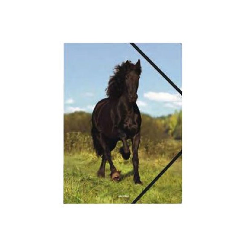 3664447114873-oberthur Cheval BLACK - chemise à 3 rabats - pour A4-P_405114681_1-0