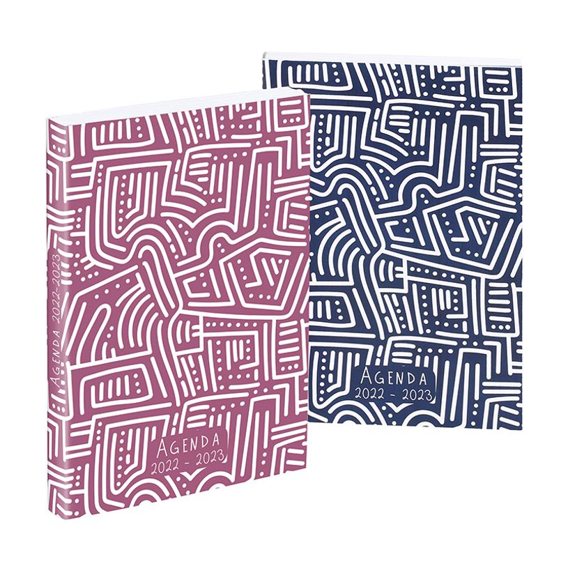 3135257468796-Agenda Dédale - 1 jour par page - 12 x 17 cm - disponible en rose ou bleu - Viquel-P_405114866_1-0