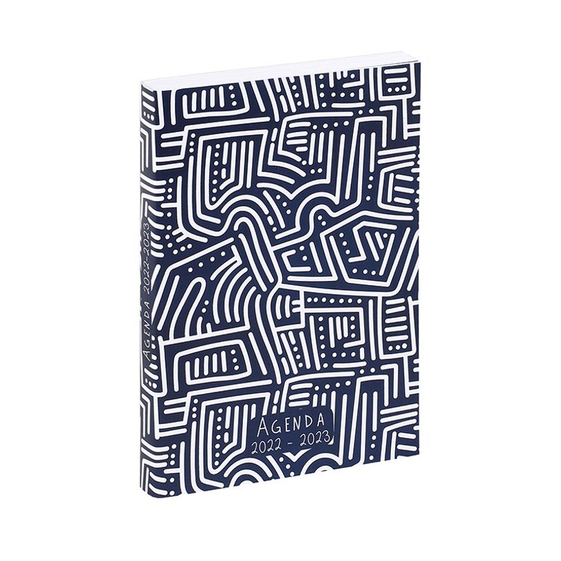 3135257468796-Agenda Dédale - 1 jour par page - 12 x 17 cm - disponible en rose ou bleu - Viquel-P_405114866_2-1