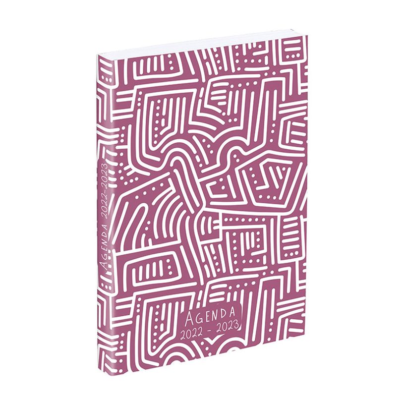 3135257468796-Agenda Dédale - 1 jour par page - 12 x 17 cm - disponible en rose ou bleu - Viquel-P_405114866_3-2