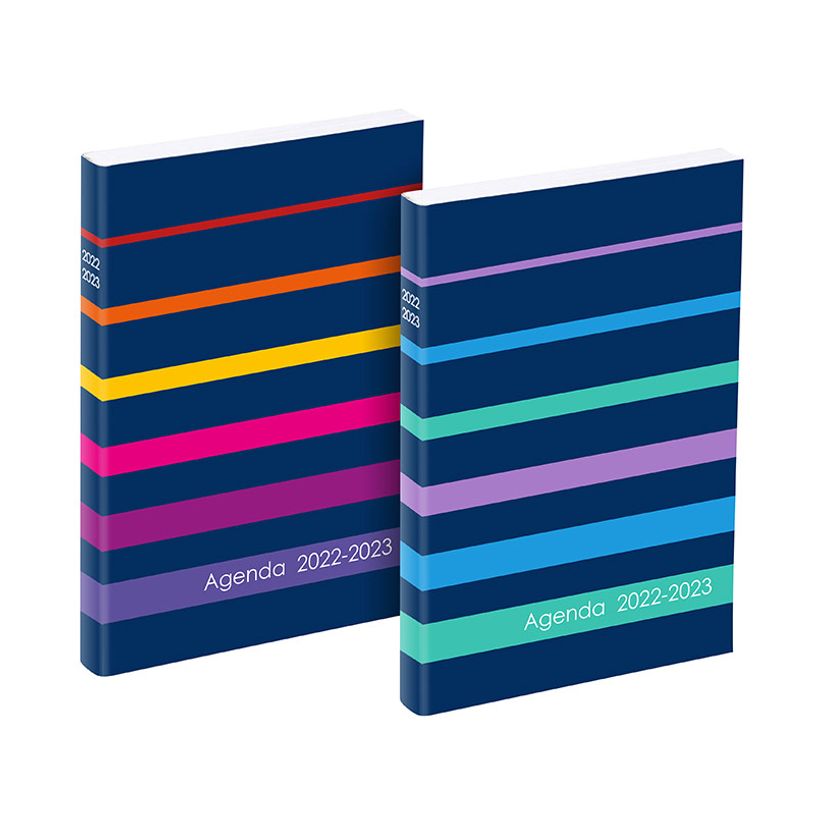 3135257469076-Agenda Envy - 1 jour par page - 12 x 17 cm - 2 modèles disponibles - Viquel-P_405114867_1-0