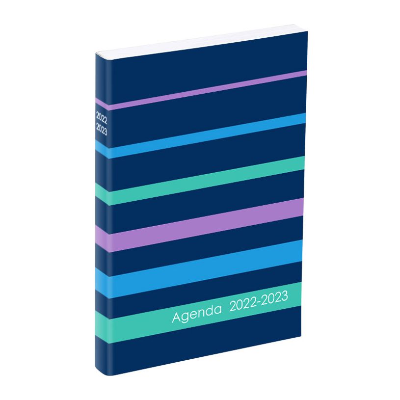 3135257469076-Agenda Envy - 1 jour par page - 12 x 17 cm - 2 modèles disponibles - Viquel-P_405114867_2-1