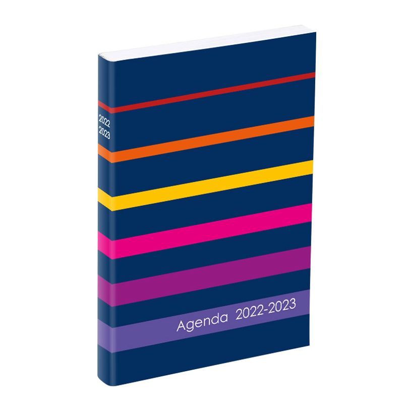 3135257469076-Agenda Envy - 1 jour par page - 12 x 17 cm - 2 modèles disponibles - Viquel-P_405114867_3-2