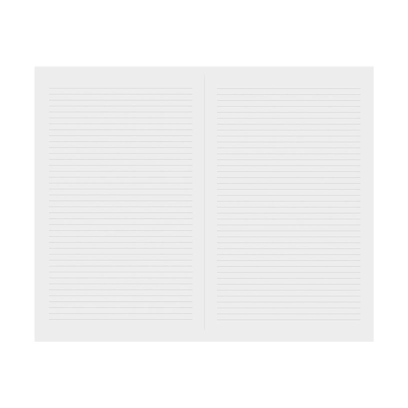 3371010489794-Quo Vadis Pure - Carnet de notes - 16 x 24 cm - ligné - différents modèles disponibles-P_405115031_1-2